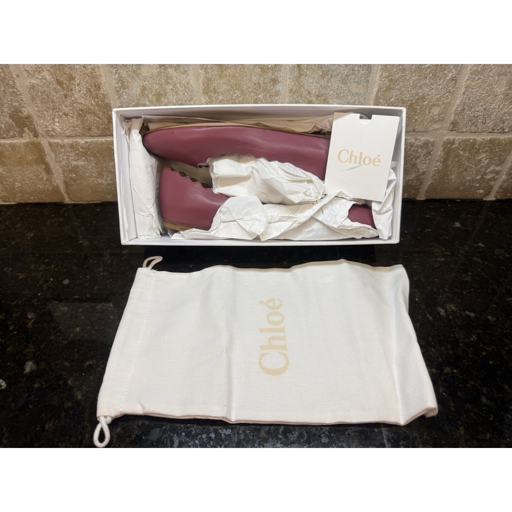 NEW In Box Chloé Lauren Leather Ballerina Flats in Tawny Red Size 40 Italy Made